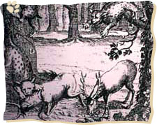 So wurden Luchse früher gesehen: groß wie Hirsche und im Rudel jagend; Quelle: Staatsbibliothek Bamberg (Oec.q.24)