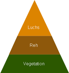 Luchse fressen Rehe, und Rehe fressen Pflanzen. Ganz einfach, oder?