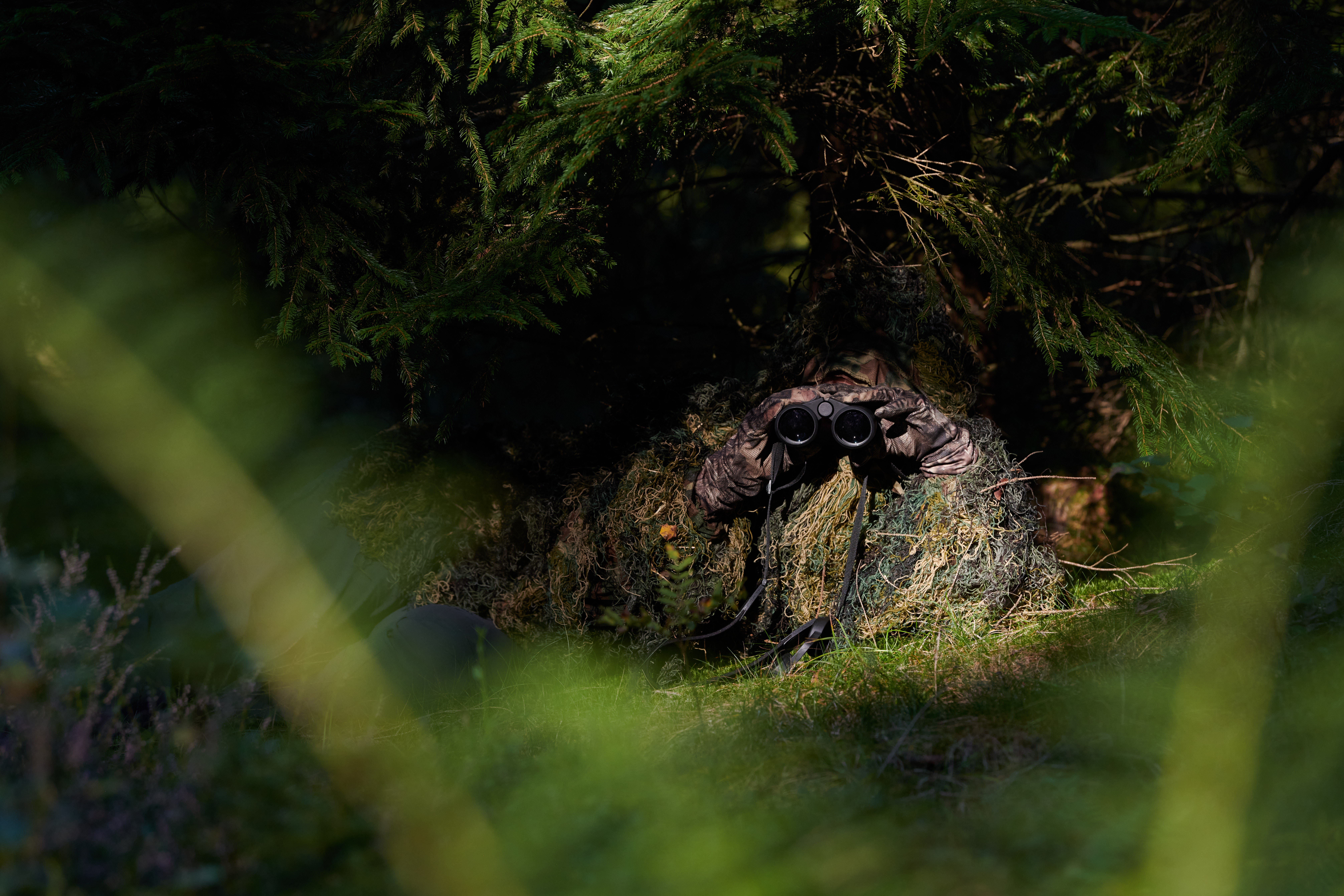 Luchs im Bayerischen Wald, aufgenommen mit einer Kamerafalle