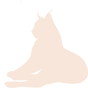 luchs_liegt