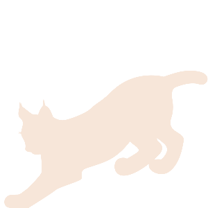 luchs_nach_unten