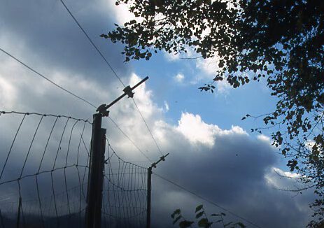 Elektrodrähte schützen den Zaun vor Überklettern. Elektrodrähte schützen den Zaun vor Überklettern.