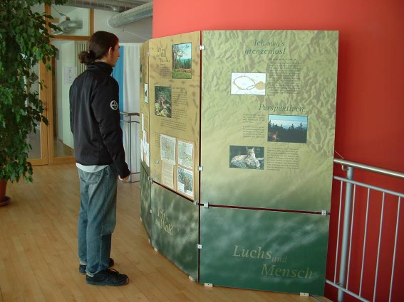 Luchsaustellung Ausstellung zum Luchs