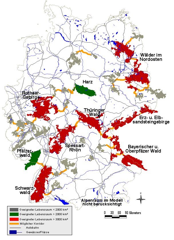 Potentiell geeignete Habitate für den Luchs in Deutschland, basierend auf den Modellen von Schadt et al. (2002a, 2002b) und Zimmermann (2004), verändert. Potentiell geeignete Habitate für den Luchs in Deutschland, basierend auf den Modellen von Schadt et al. (2002a, 2002b) und Zimmermann (2004), verändert.