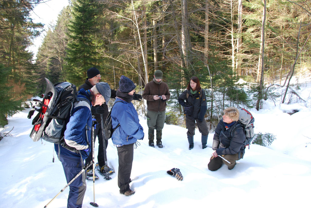 Luchsexkursion im Winter Luchsexkursion im Winter