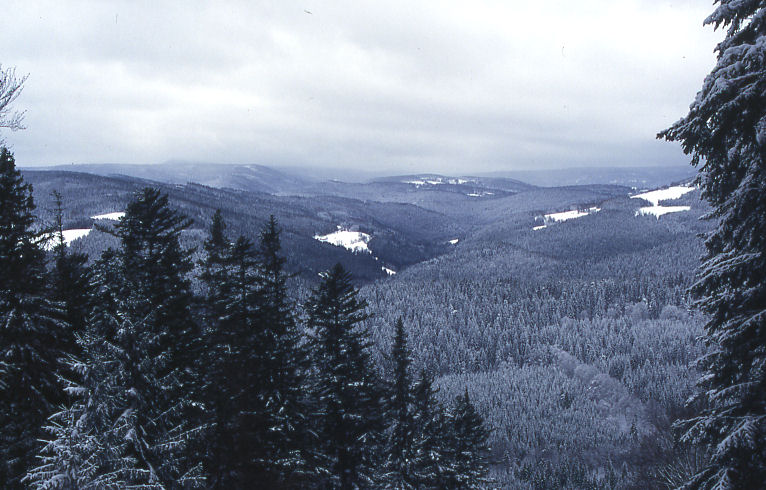 Böhmerwald im Winter Landschaft des Böhmerwalds im Winter