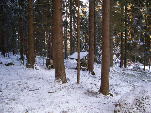 wildfuetterung