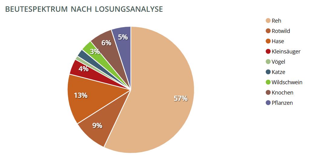 Nahrungsverteilung bei Luchsen Nahrungsverteilung bei Luchsen