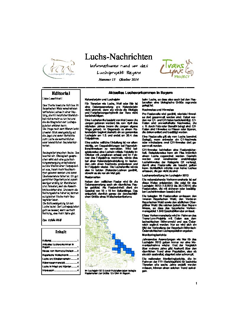 Luchs-Nachrichten 13